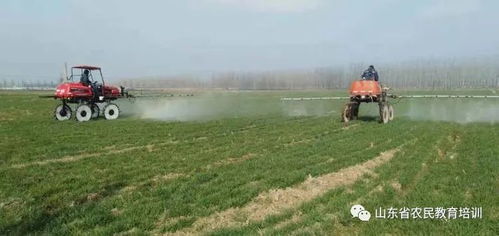郯城縣春季農(nóng)業(yè)科技服務(wù)創(chuàng)新轉(zhuǎn)型使大招