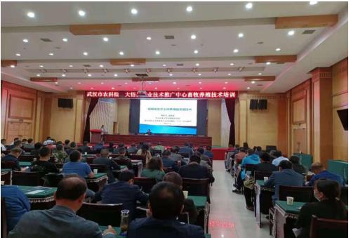 大悟縣農(nóng)業(yè)技術(shù)推廣中心聯(lián)合武漢市農(nóng)科院開展科技服務(wù)活動