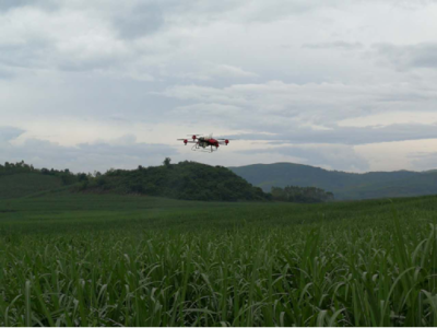 崇左湘桂蔗區(qū)引進(jìn)植保無(wú)人機(jī),助力甘蔗生產(chǎn)