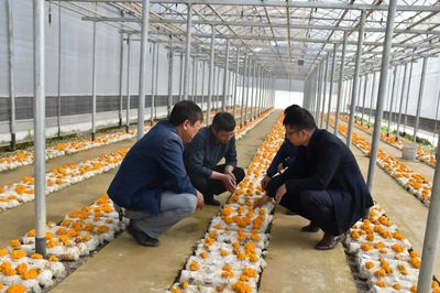 政府圍著企業(yè)轉(zhuǎn) 永勝各部門(mén)當(dāng)好&ldquo;服務(wù)員&rdquo;_頭圖