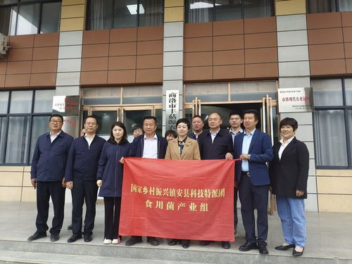 國(guó)家科技特派團(tuán)食用菌體系專(zhuān)家在大坪鎮(zhèn)開(kāi)展科技服務(wù)