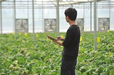 振興鄉村 國家發改委點贊貴州農業云、廣東農村超高速無線局域網