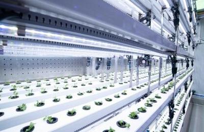 拼多多發布Q3財報,&ldquo;百億減免&rdquo;效用顯現,繼續加大投入&ldquo;新質供給&rdquo;