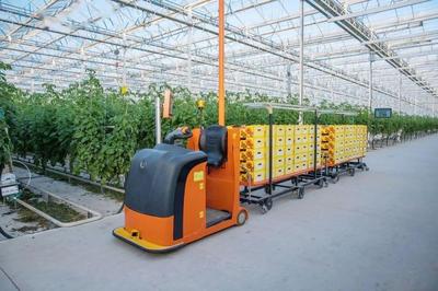 新基建數(shù)字化植物工廠開辟農(nóng)業(yè)新版圖!