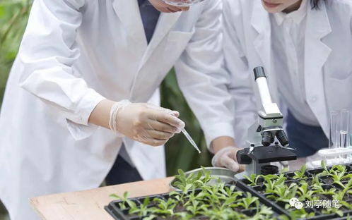 劉亭 對腦力勞動者的分配怎么把握 共同富裕 線上交流1實錄 下