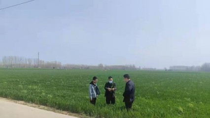 尉氏縣永興鎮(zhèn):&ldquo;科技?jí)衙?rdquo;服務(wù)到田間地頭 保夏糧豐收