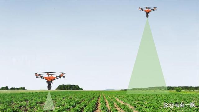 四川晨朝農(nóng)業(yè)科技:助力農(nóng)業(yè)現(xiàn)代化,創(chuàng)新科技服務(wù)未來