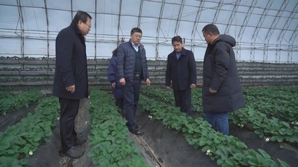 應(yīng)對(duì)雨雪冰凍天氣:專(zhuān)家入戶(hù)協(xié)助做好農(nóng)業(yè)防寒指導(dǎo)