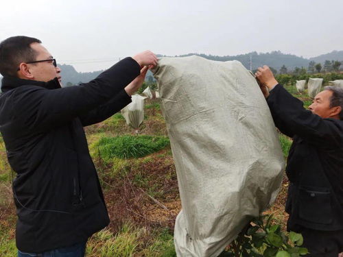 衢州寒潮這場(chǎng)雪,你見了嗎