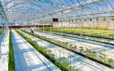 溫州瑞安現代農業產業園通過國家級認定