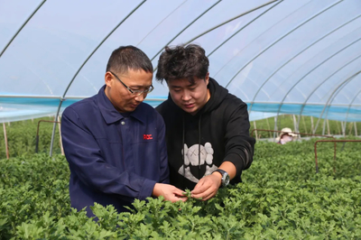 人保財險徐州分公司 以服務三農為本，助推農業保險高質量發展