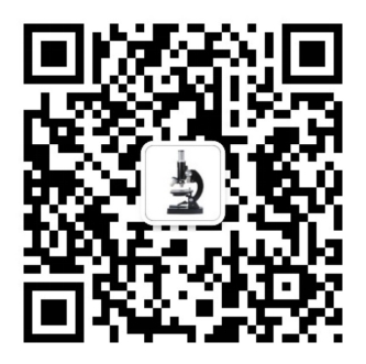 掃一掃 更精彩